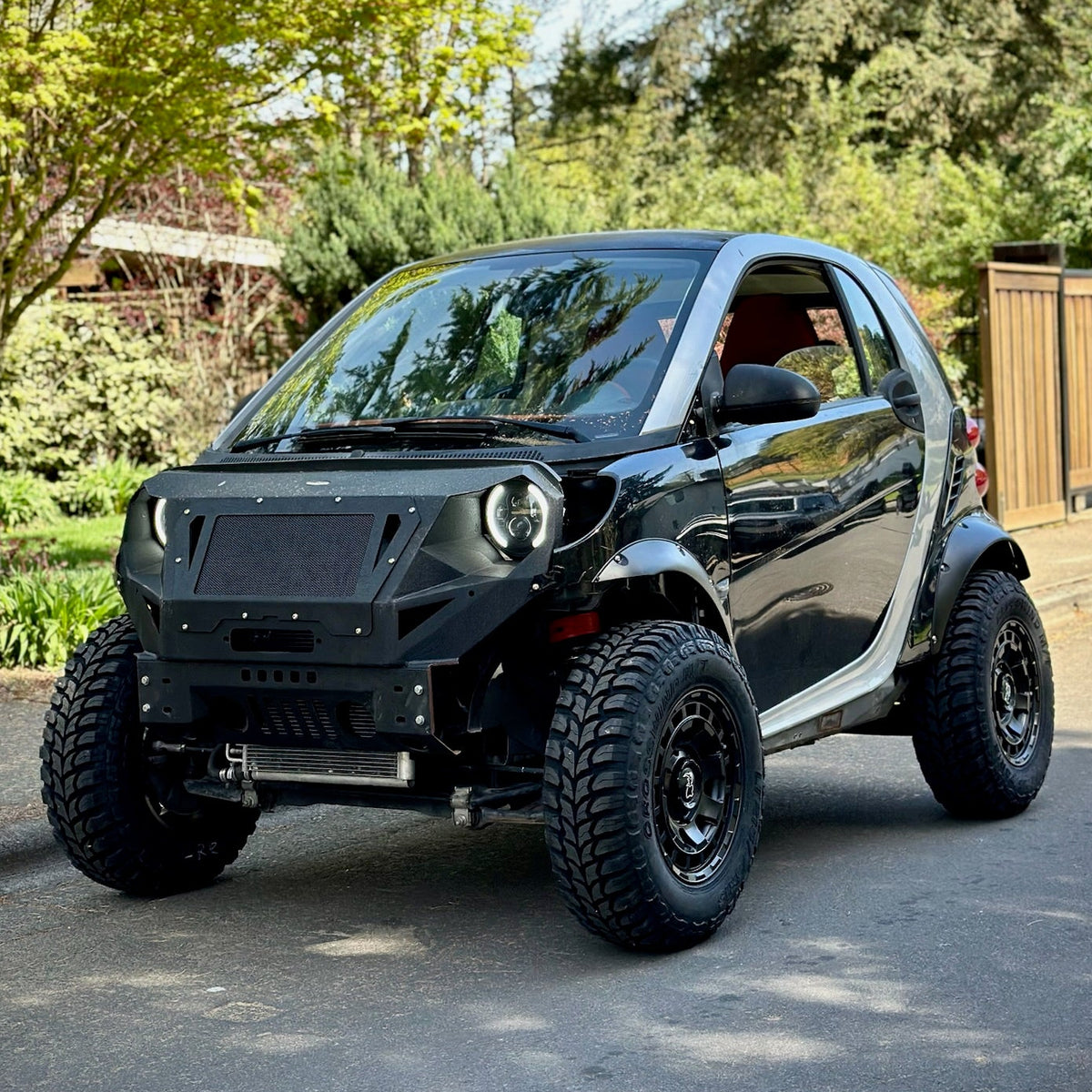 Lifted 2009 Smart Fortwo Passion with steel front fascia build – photo 1