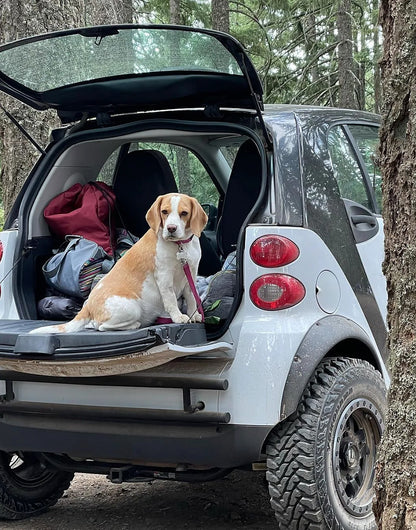 Tubular rear bumper on a Smart Fortwo 451 with the hatch open
