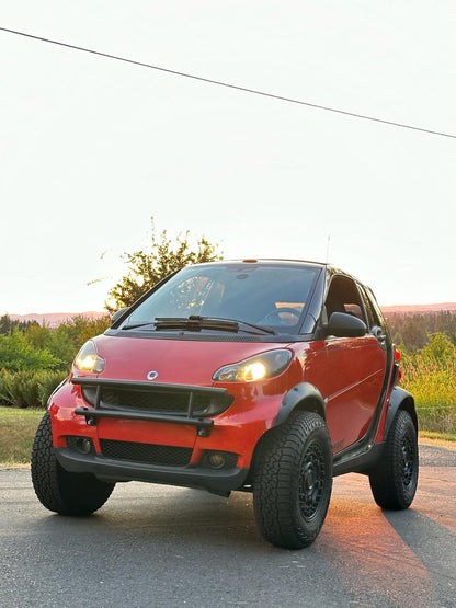 Little Big Supply™ Tubular Front Bumper for Smart Fortwo 451